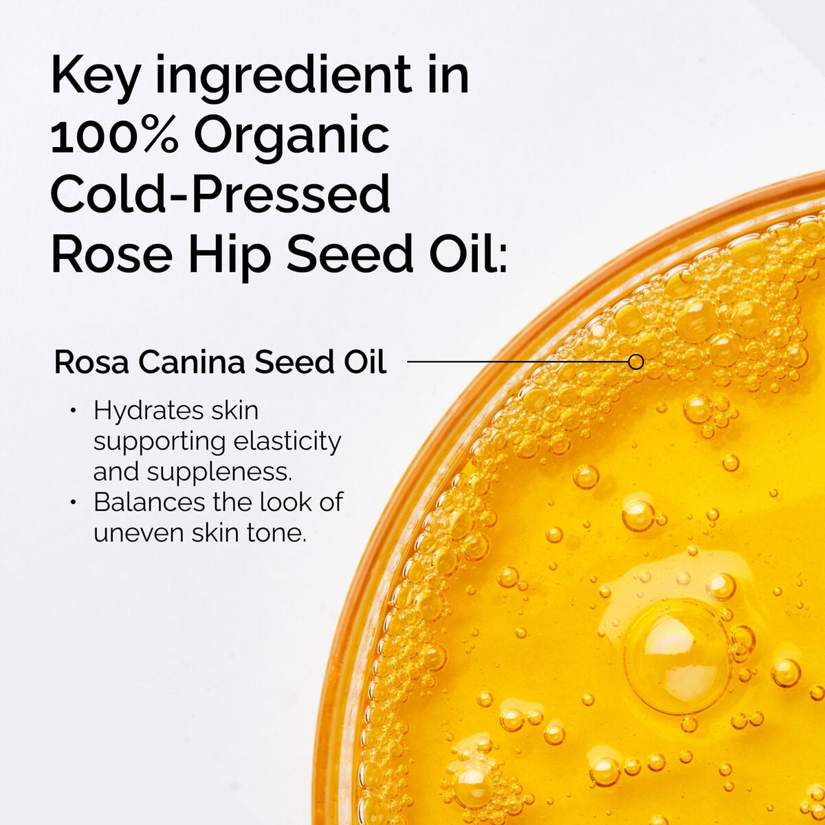 100-organic-cold-pressed-rose-hip-seed-oil-z7 FY25-D41247-ORD-Web-PDP-100-Rose-Hip-Oil-1x1-EN-2.jpg