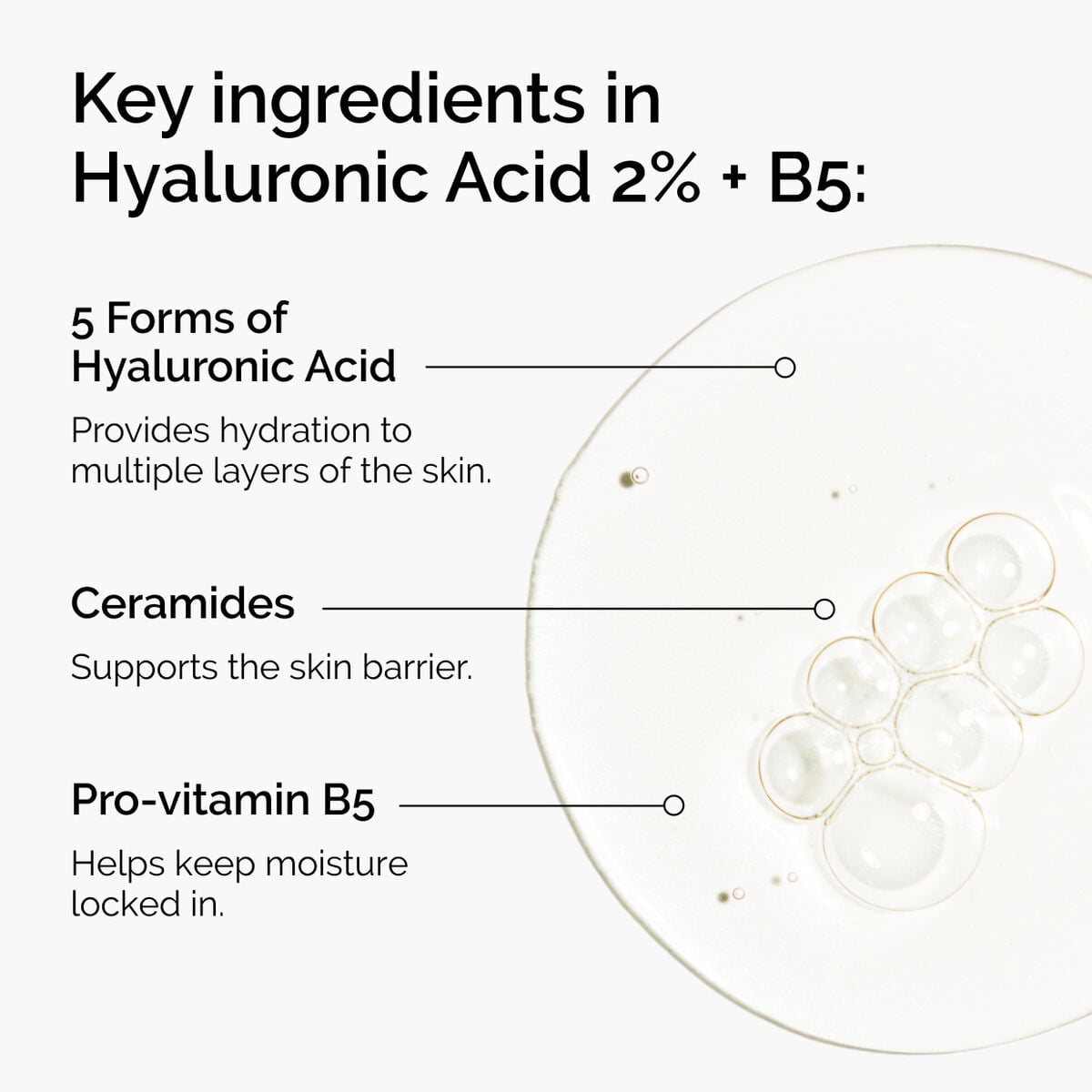 hyaluronic-acid-2-b5-with-ceramides-s1 ord-hyaluronic-acid-2pct-b5-hydrating-serum-ingredients-graphic.jpg