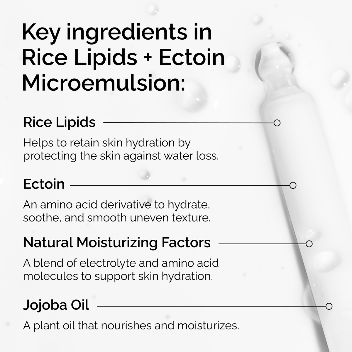rice-lipids-ectoin-microemulsion-z7 ord-rice-lipids-ectoin-microemulsion-key-ingredients.png