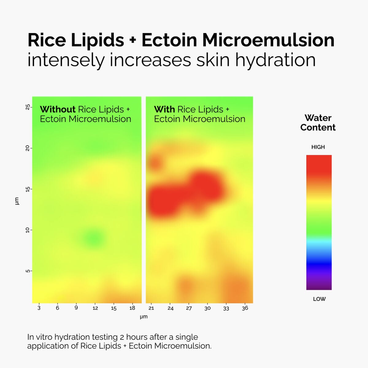 rice-lipids-ectoin-microemulsion-z7 ord-rice-lipids-ectoin-microemulsion-thermal-before-after.jpg